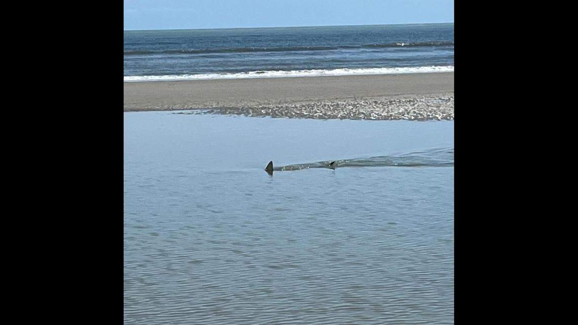 Kiawah Island town officials are warning people on the barrier island to stay out of the tidal ponds due to sharks roaming the water.