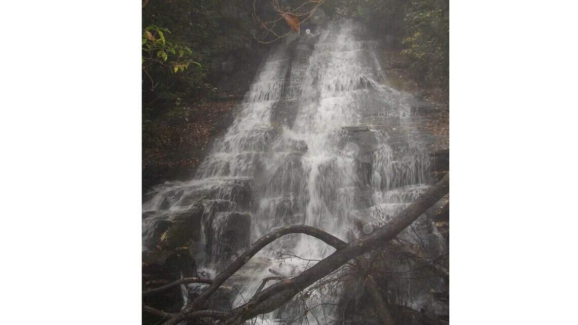 Unspoiled mountain land could be logged, developed in SC under federal forest plan