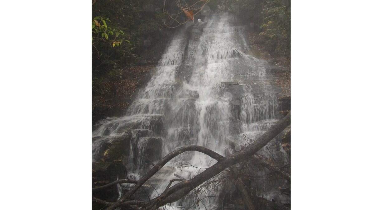 Unspoiled mountain land could be logged, developed in SC under federal forest plan