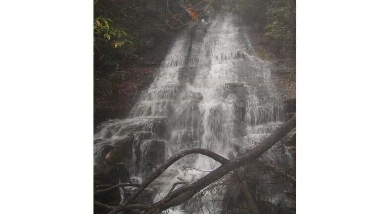 Unspoiled mountain land could be logged, developed in SC under federal forest plan