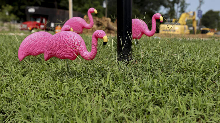 Irmo triples Flock camera surveillance despite pushback. Here’s what to know