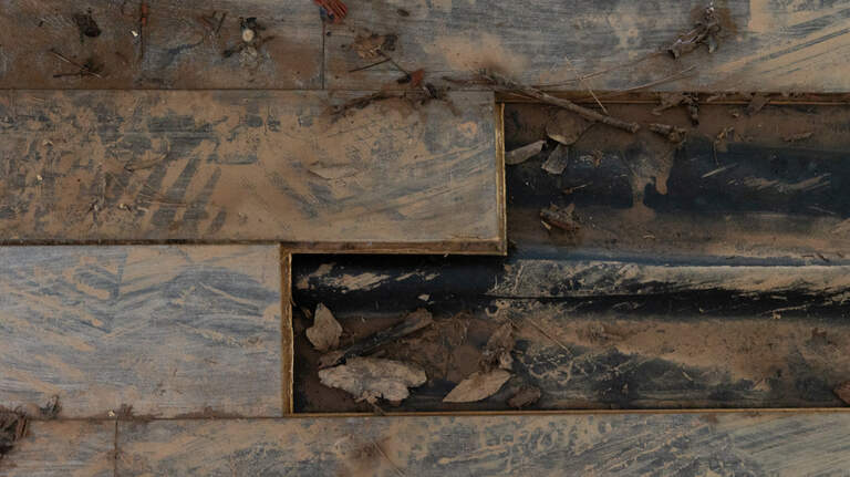 Outside a flood zone? Damaged Irmo homes show homeowners are at risk