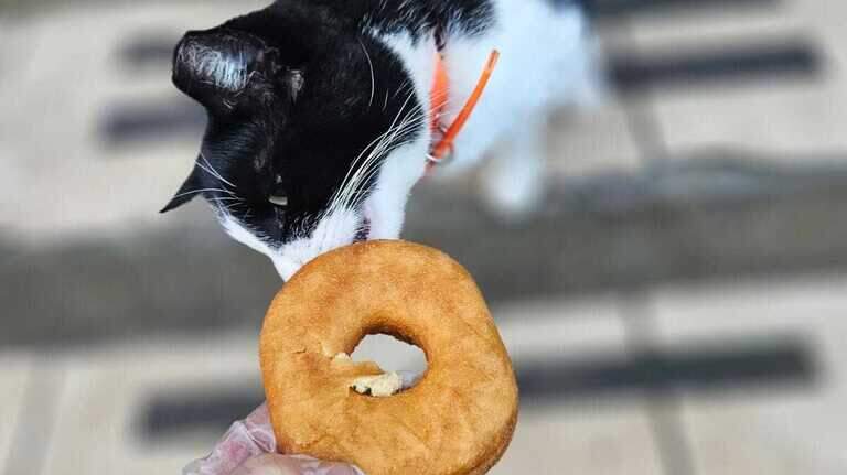 Be like Oreo: Where to get free donuts for National Donut Day in the Midlands