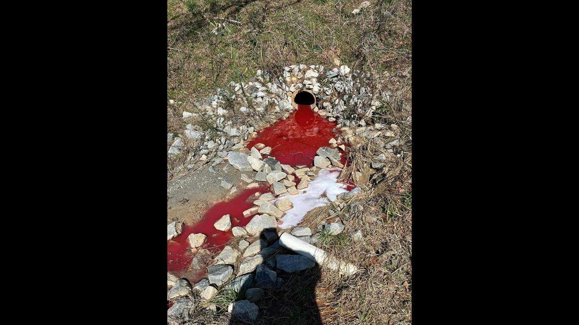 The discovery was made around 11 a.m. Wednesday, Feb. 21, on Hamrick Street in Gaffney, SC., officials said.