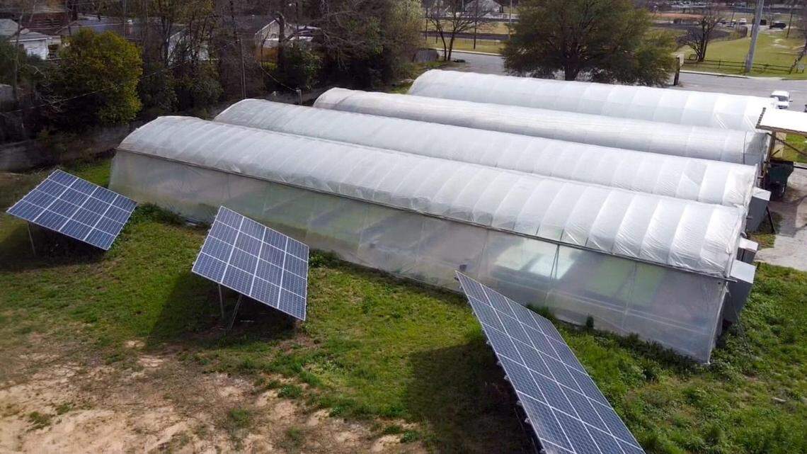 Solar panels help provide energy for the City Roots urban farm in Columbia.