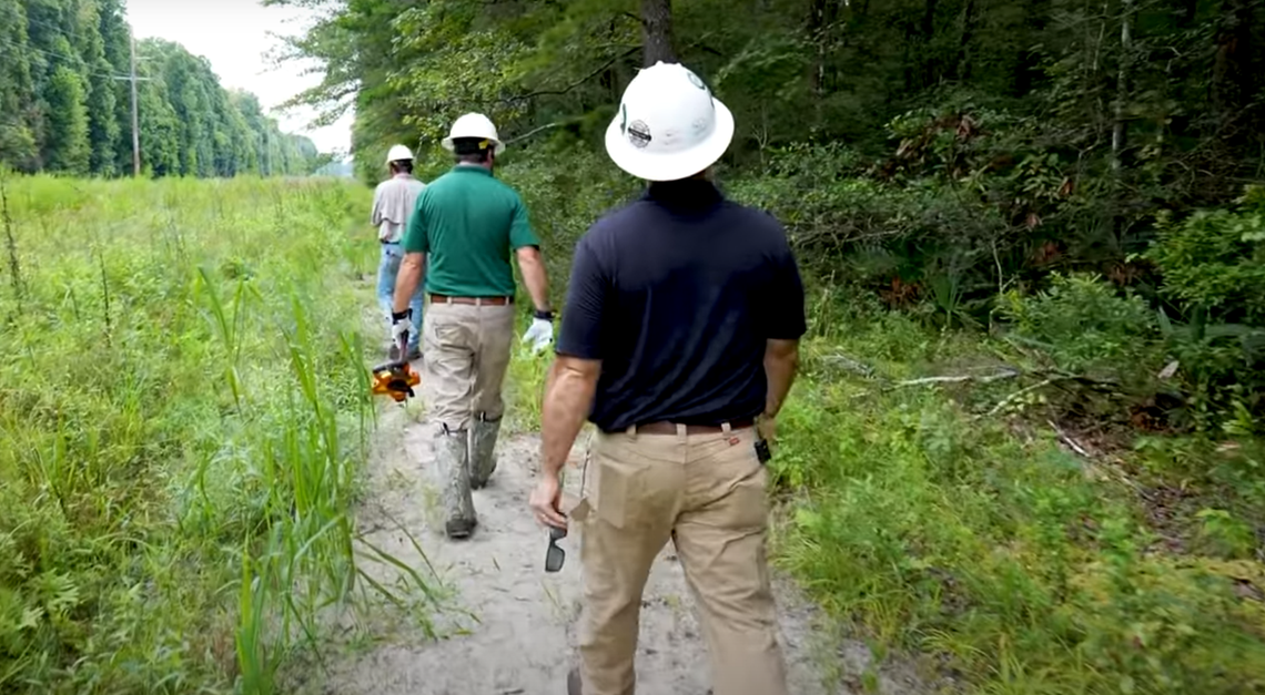 A screenshot from a video Santee Cooper made about its transmission line project through Francis Beidler Forest.