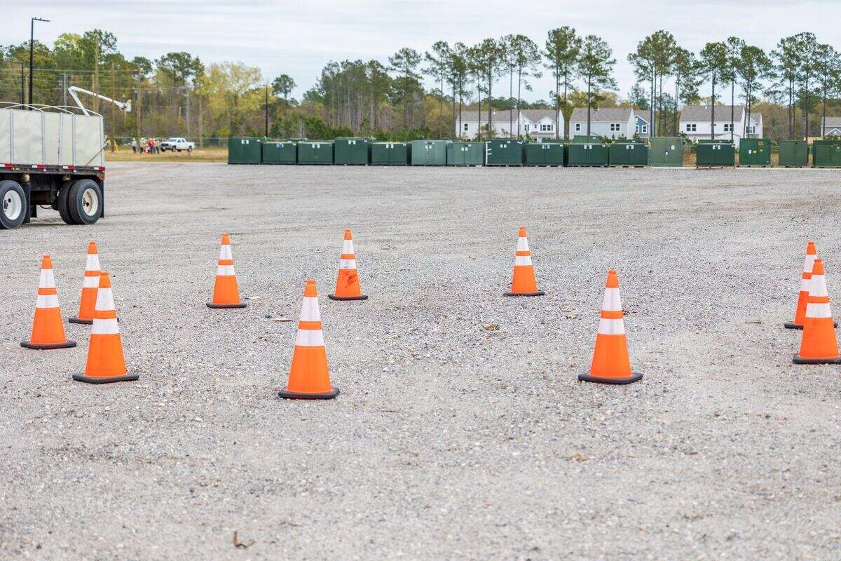 An image of a killdeer nest being protected by orange cones.