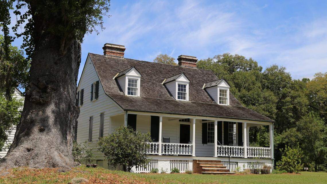 Nineteen freshly dug holes have been found at the Charles Pinckney National Historic Site near Charleston, South Carolina, leading investigators to conclude artifact hunters are carrying on a large scale search for something at the national park.