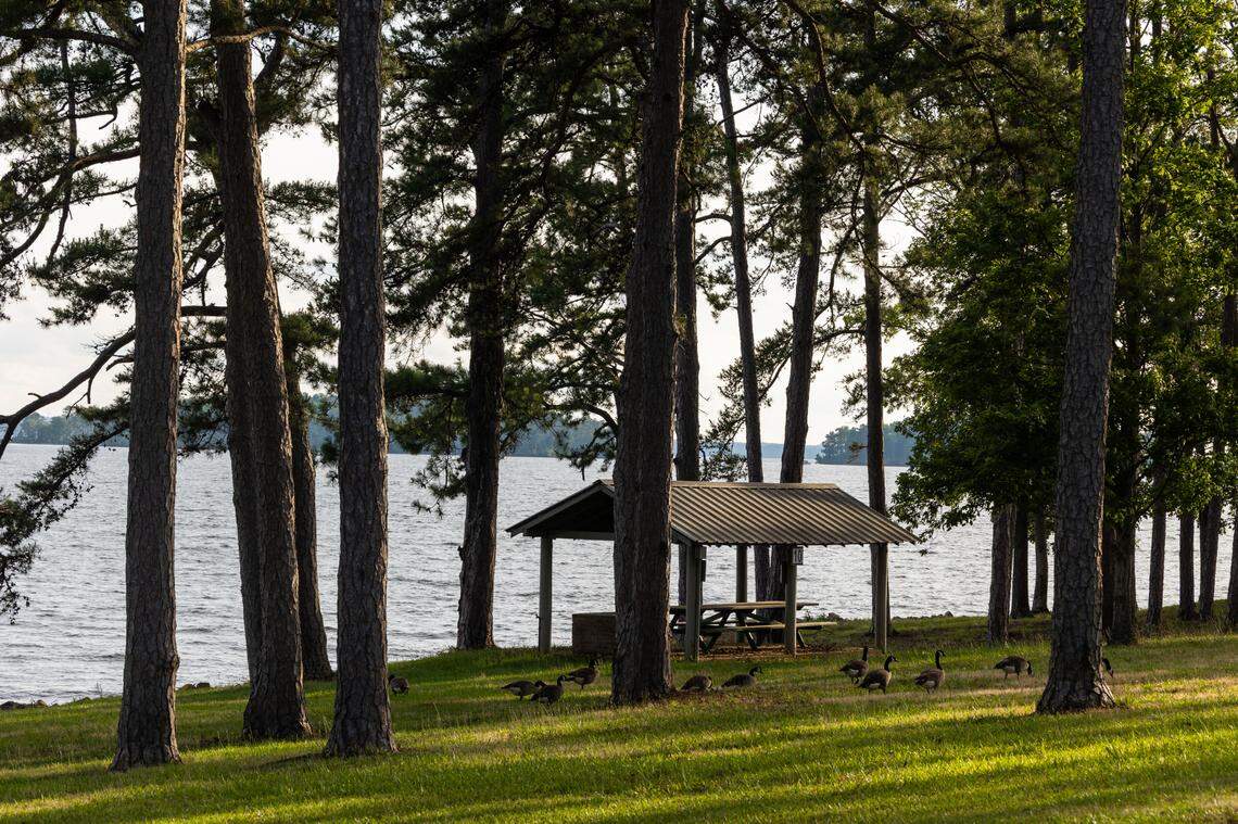 Pine Island State Park hosts an open house on Wednesday, May 28, 2025. The park, located at Lake Murray, is scheduled to have a soft opening on October 1.