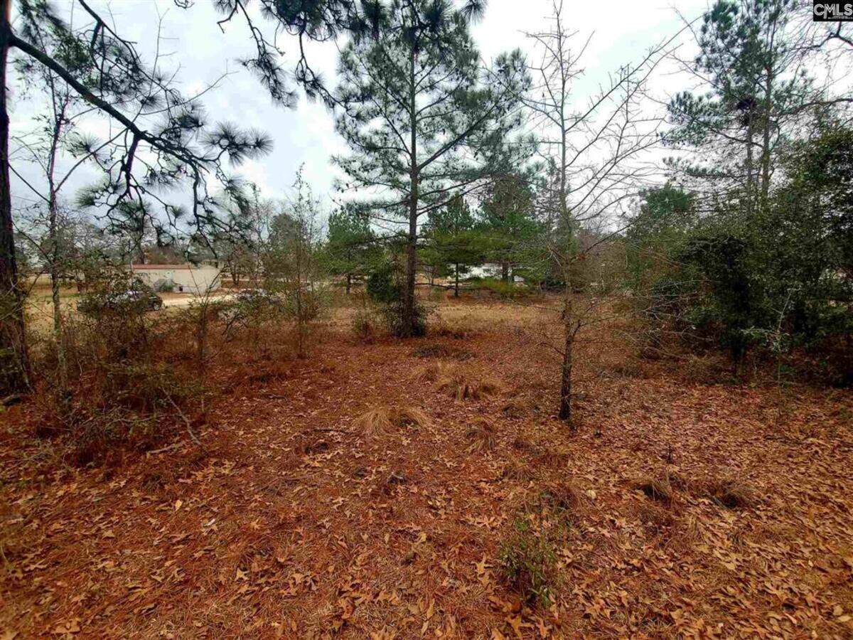 This lot in Redbank is just off Interstate 20 which provides easy access to nearby shopping and dining.