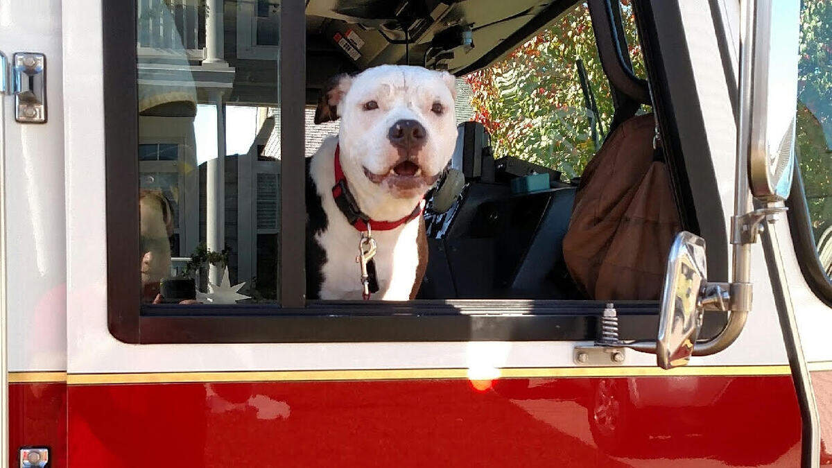 Jake turned seven years old in April.
