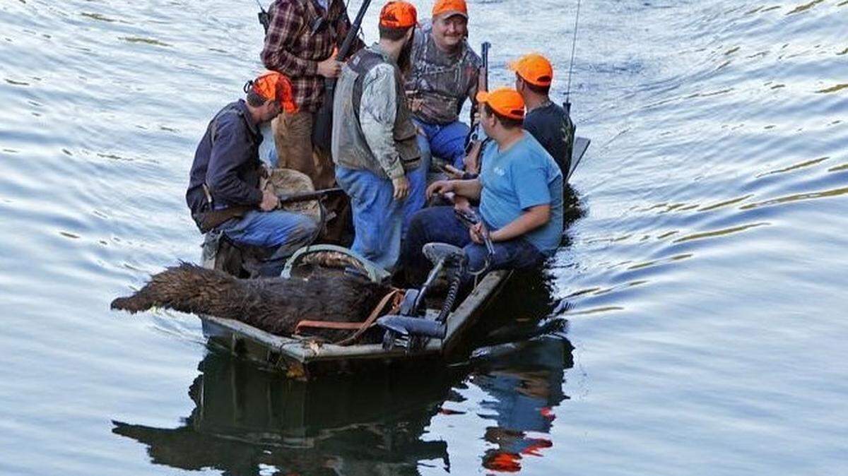 Hunters transport a bear that was shot and killed during the 2016 hunting season across Lake Tugaloo. The hunters were taking the animal to station where a state wildlife official could weigh the animal. Bear hunting is legal in some counties in the fall in South Carolina.