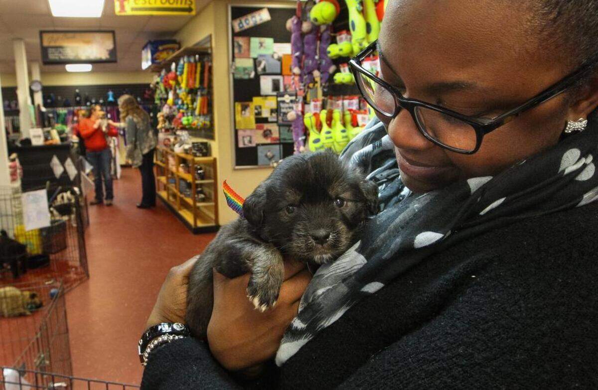 FILE: Kasonna Kennedy meets a shepherd mix puppy at Pets Inc. Kennedy has one dog already and said, “I’ll have two soon. I can’t wait.” She is planning to adopt this one.