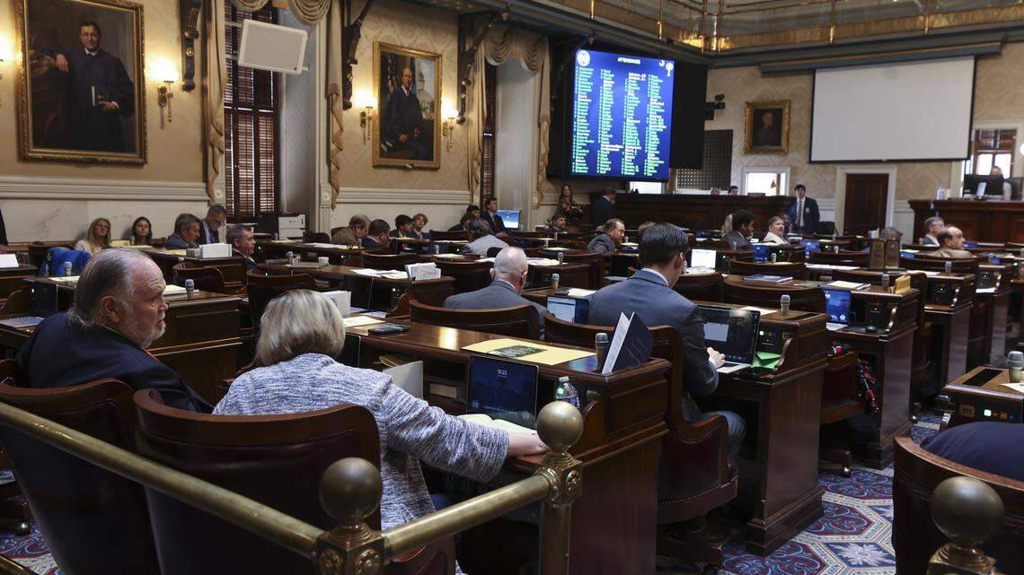 Testicular fortitude, the Bible, planets. Quips, campaigns at SC House budget debate