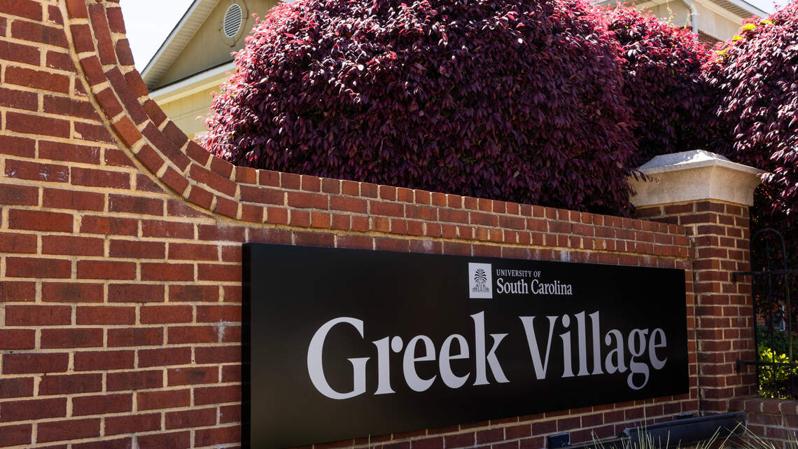 Hazing tops list of Greek life violations again. Which SC colleges reported cases?