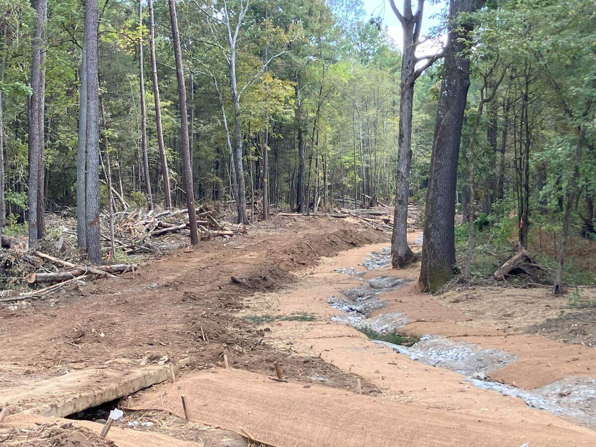 This creek in the Sumter National Forest of Chester County is part of a stream restoration project. The effort has drawn criticism for its expense and its plan to clear trees that have grown up over the past century. The work is being done to offset the environmental impacts of the Scout Motors project in Richland County. (photo taken Sept. 24, 2025)