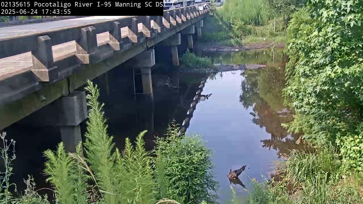 The Pocotaligo River in Sumter and Clarendon counties has some of the highest levels of toxic forever chemicals in the state. It was recently found to have high levels compared to other rivers across the country. A wastewater plant and industries are believed to the sources, a recent report said.