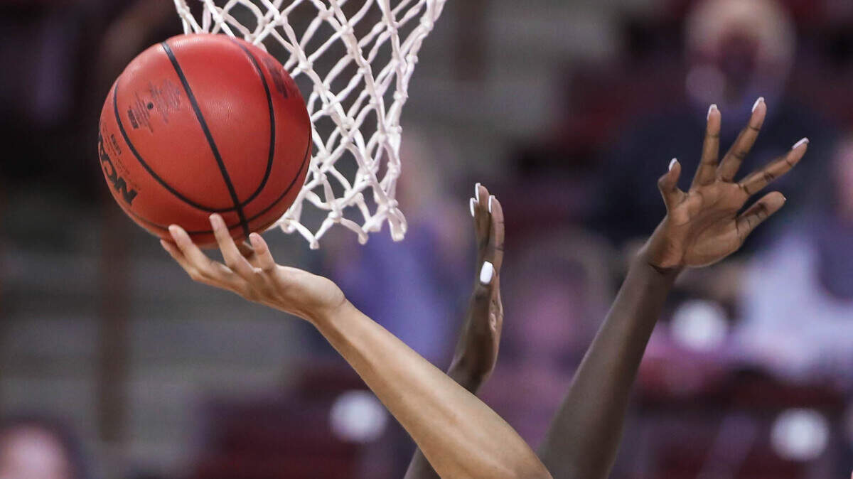 Generic basketball