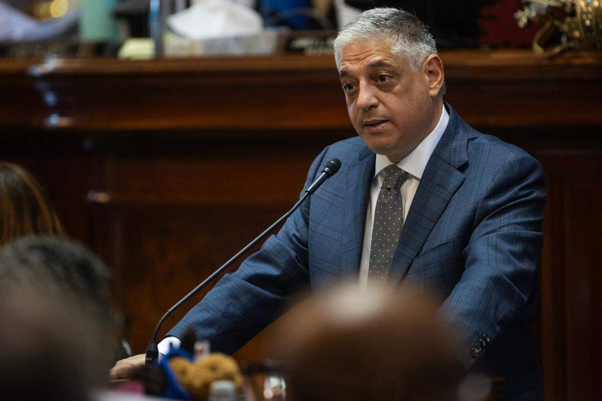 South Carolina State Representative Leon Stavrinakis, D-Charleston, debates amendments to the state budget on Tuesday, March 11, 2025.