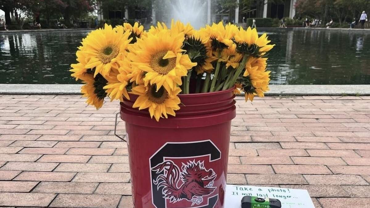 An anonymous Gamecock leaves flowers for fellow students on campus at the University of South Carolina.
