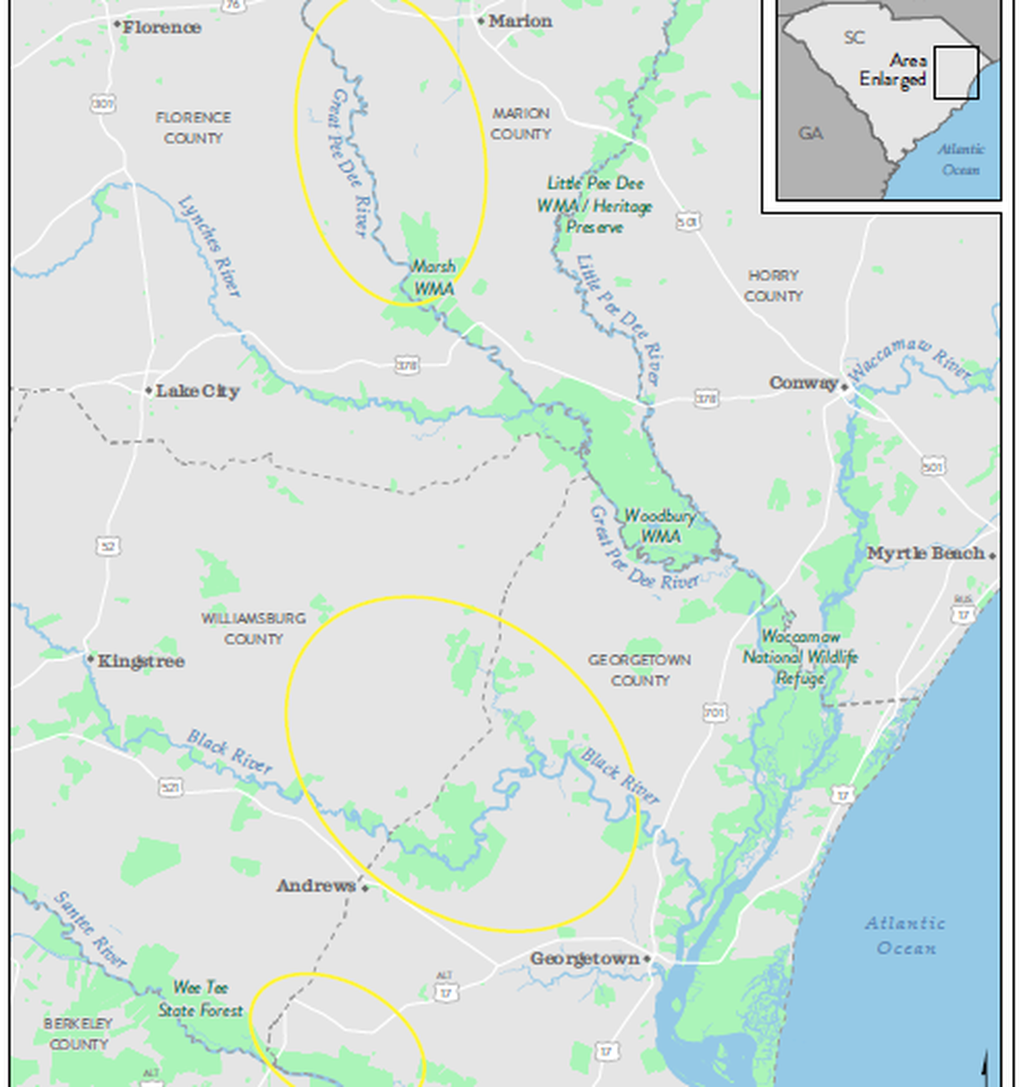 Land along three rivers in eastern South Carolina would be protected under a conservation plan announced in October 2024.