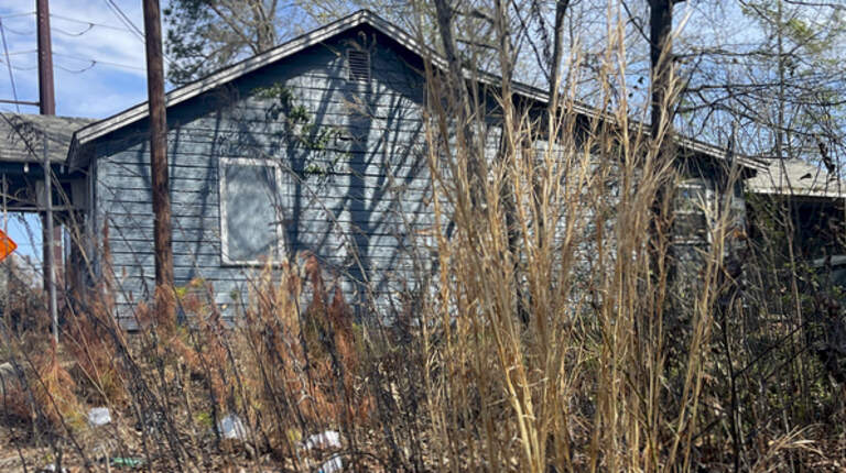 Weeds, junk and bad parking. What Lexington-area code violations got called in