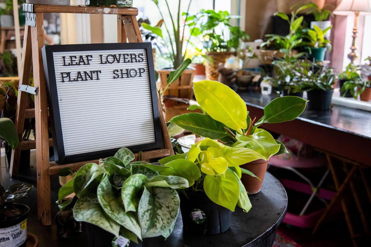 Elizabeth Williams at Leaf Lover’s Plant Shop in Lexington, South Carolina on Friday, March 26, 2021. Williams plans on making her boutique into a community space where people can learn about plants.