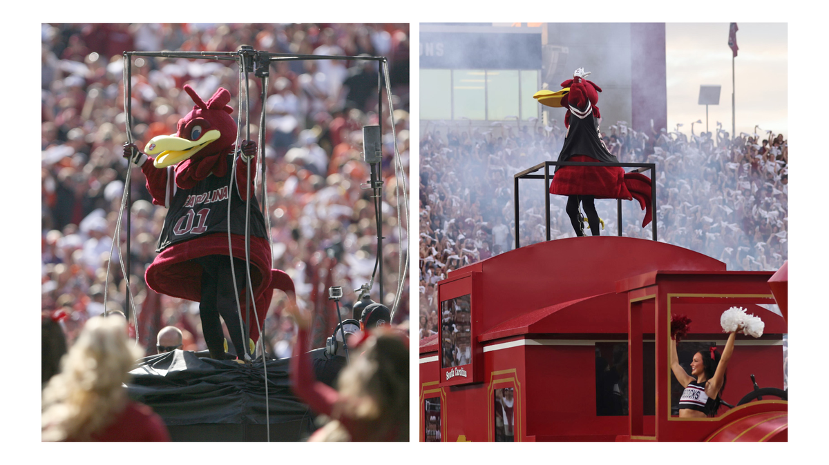 Cocky, the University of South Carolina’s beloved mascot, has changed his entrance method at USC football games in the last couple years.