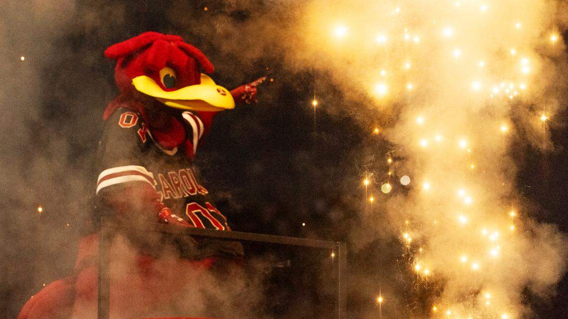 Cocky appears from out of a caboose before the University of South Carolina Gamecocks plays Mississippi State on Saturday, September 23, 2023. 