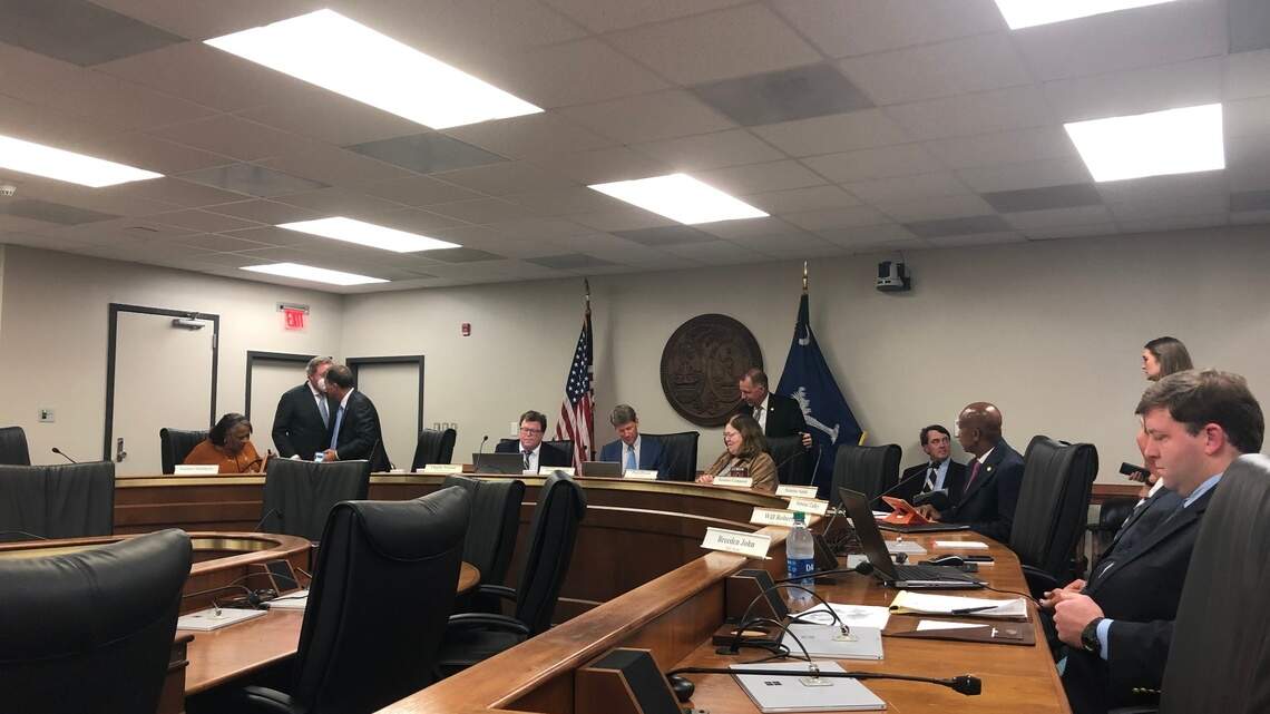 Midlands voters voice redistricting concerns to SC senators. How you can participate