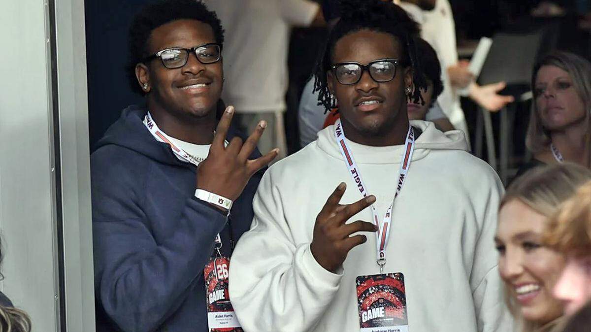 Twin brothers Aiden and Andrew Harris