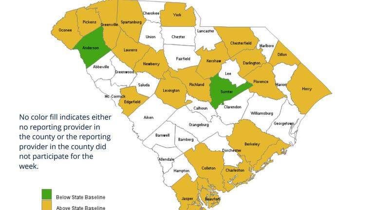 A child was one of nine who died from the flu last week, SC health officials say