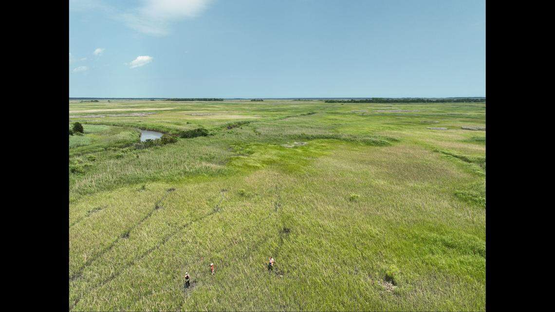 Holes dug by the students were centered around the remains of nine chimney pads. It’s believed they represent two-room cabins where entire families of enslaved people lived and worked, researchers said. It was considered a small camp, but may have housed as many as 100 people in the camp between 1840 and 1885.