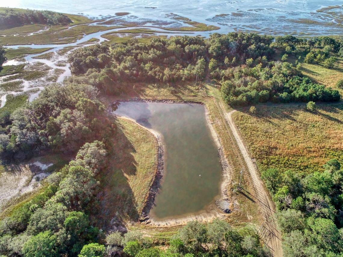 Massive ponds like this one on St Helena Island hold an unknown number of S.C. horseshoe crabs each year before the animals are brought to be bled by Charles River.