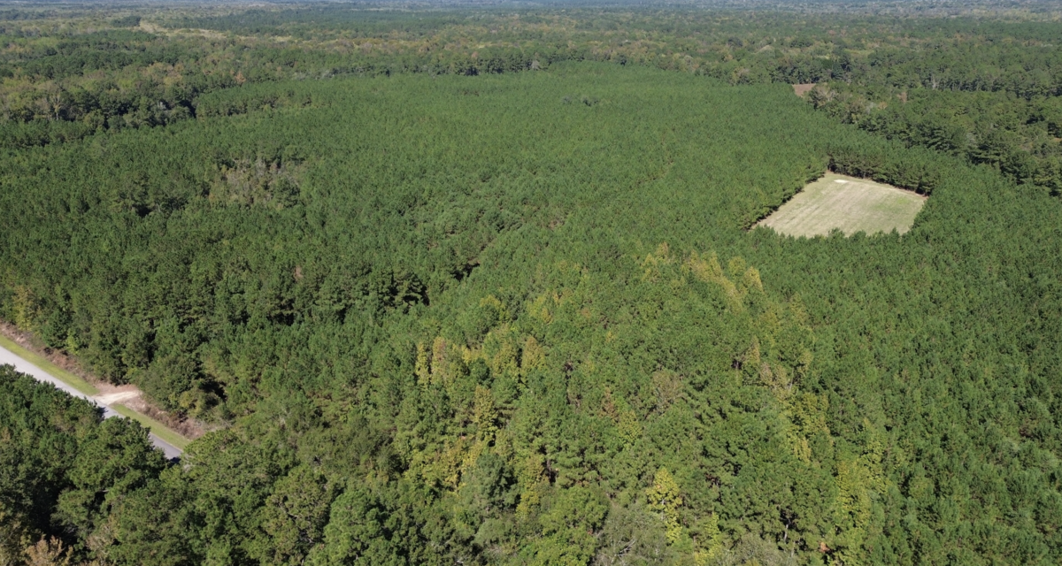 The property, known as Thorntree Preserve – Black River, is located on Highway 521 in Salters, SC.
