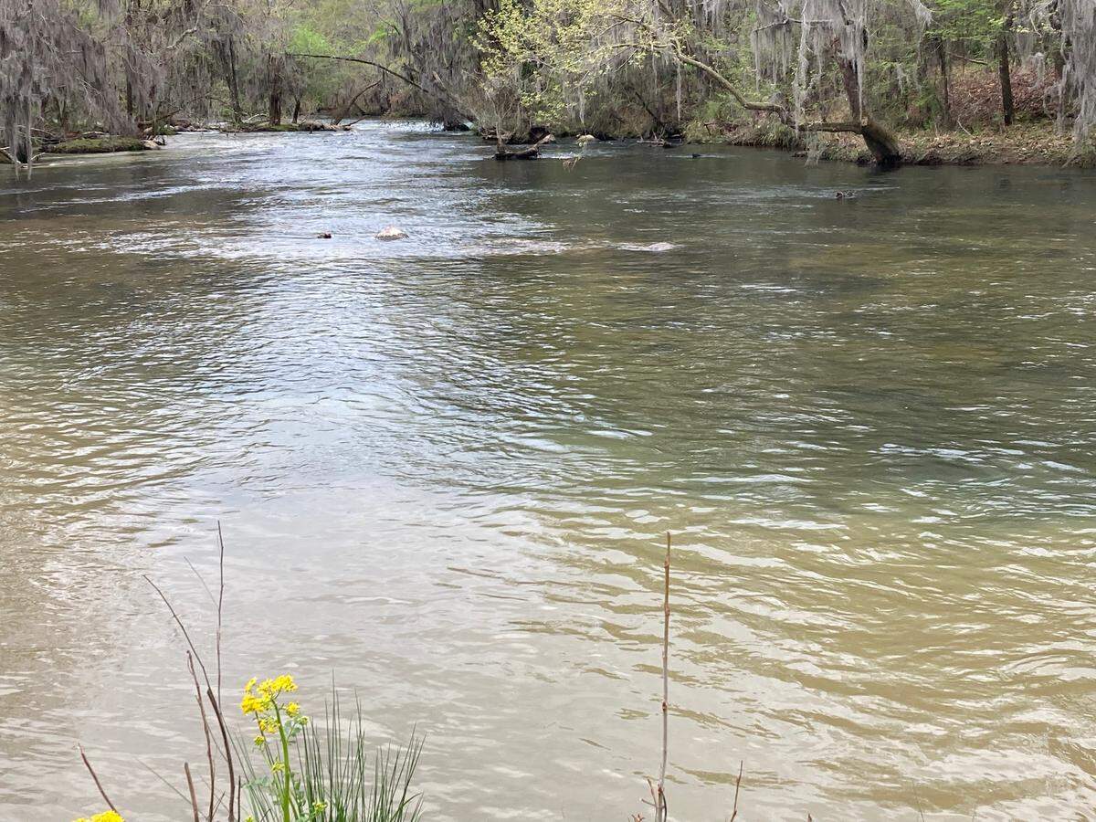The muddy water of the Broad River and the blue water of the Saluda merge at Boyd Island, a Columbia city park.