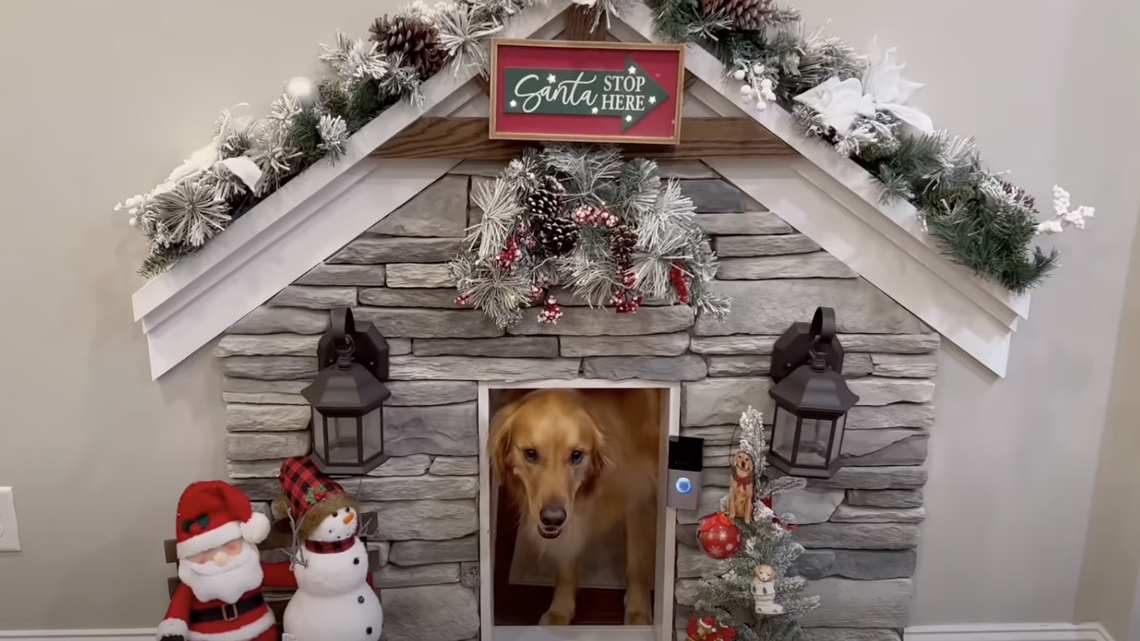 Teddy has an indoor dog house with air conditioning and a television.