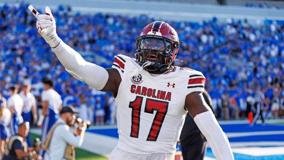 South Carolina Gamecocks linebacker Demetrius Knight Jr. (17)