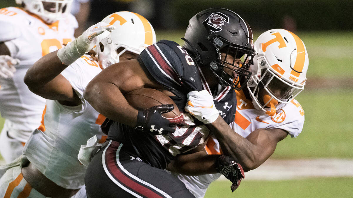 The Gamecocks and Vols face off at Williams-Brice Stadium on Nov. 19.