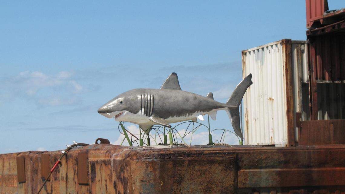 This 11-foot great white shark sculpture was welded to the deck of a 250-foot-long barge and sunk as an artificial reef off the SC coast.