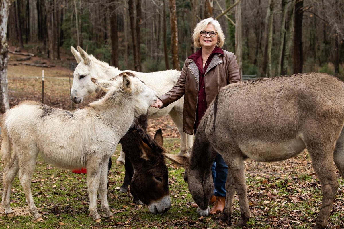 Former state Sen. Katrina Shealy poses for a portrait with her pet donkeys at her home in Lexington County on Thursday, Dec. 22, 2022. Shealy originally started raising donkeys to help protect her cows, but now keeps them as pets.