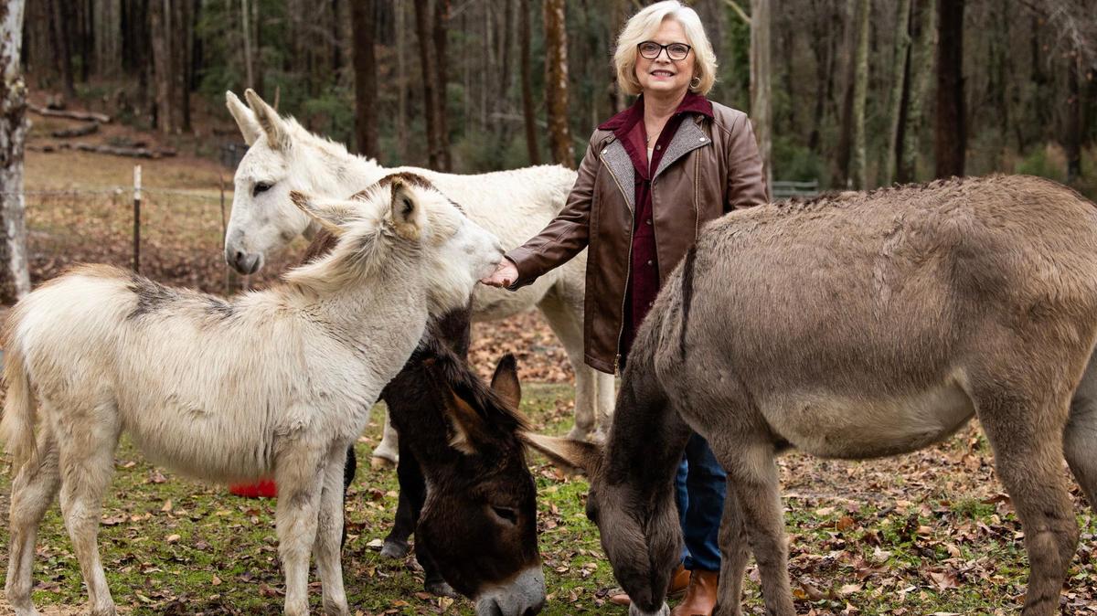 S.C. Sen. Katrina Shealy, R-Lexington, poses for a portrait with her pet donkeys at her home in Lexington County on Thursday, Dec. 22, 2022. Shealy originally started raising donkeys to help protect her cows, but now keeps them as pets.