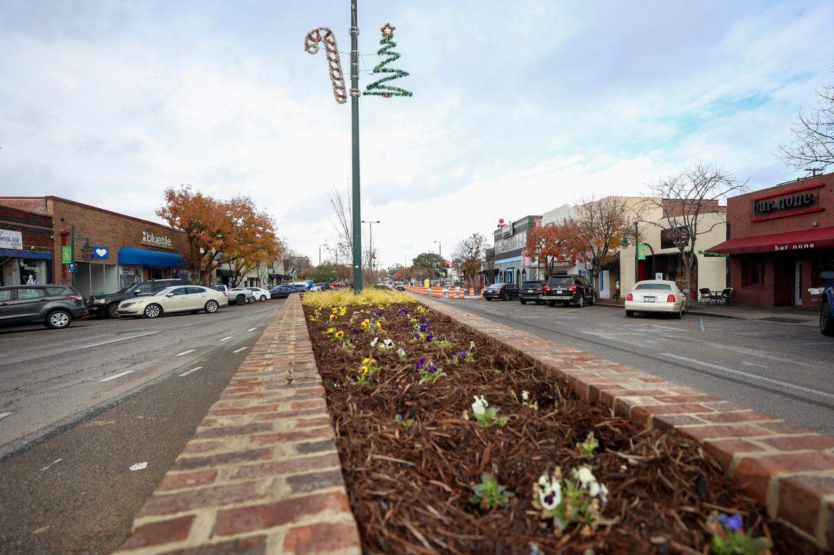 The new medians and flower boxes along Harden Street in Columbia’s Five Points have been planted on Tuesday, Dec. 10, 2024.