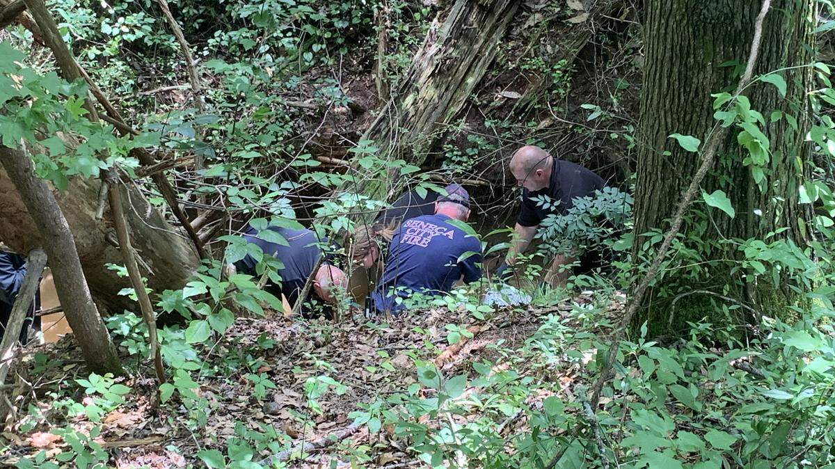 Searcher look for human remains in Seneca, South Carolina.