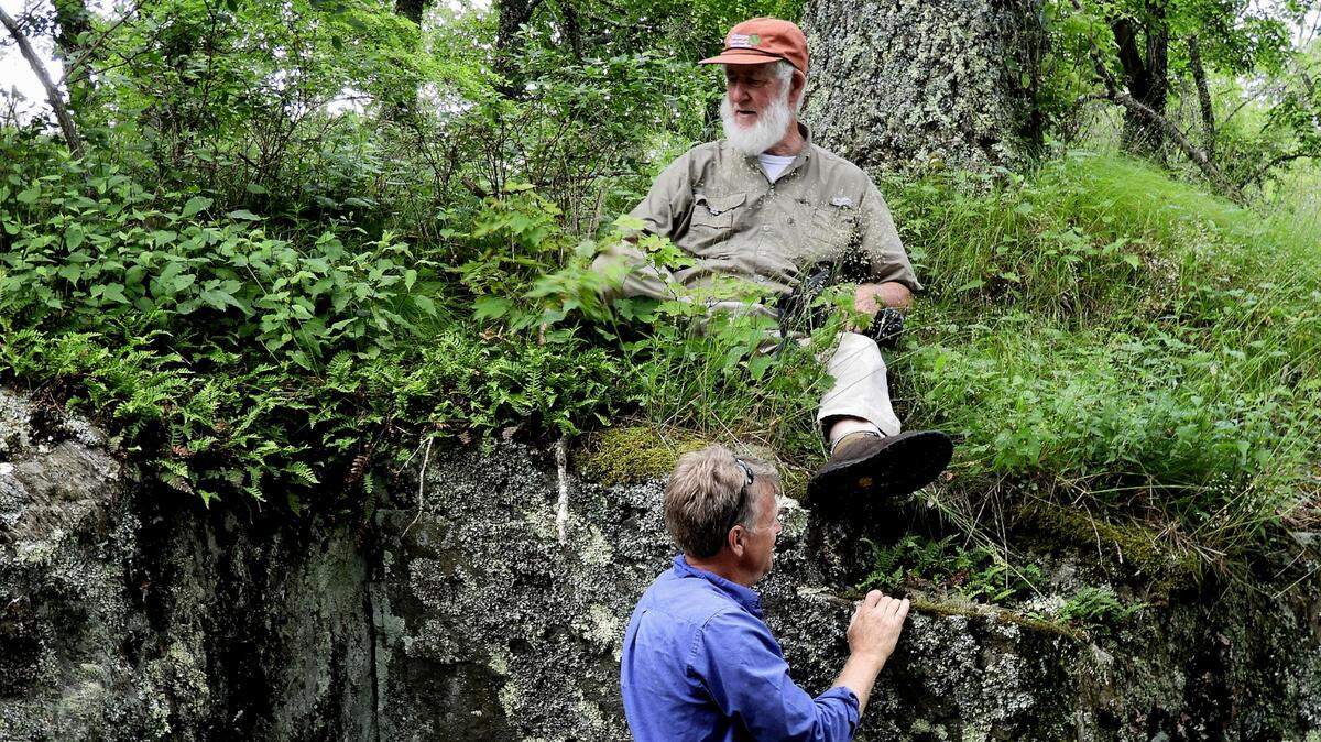 Patrick McMillan and Richard Porcher, top, are botanists from South Carolina. A rare ragweed has been named for Porcher, a retired Citadel professor.
