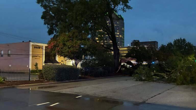 Weekend storms over Columbia caused flash flooding, downed a century-old tree
