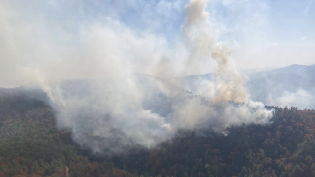 Mill Mountain Fire in northwestern South Carolina was 350 acres Wednesday, Nov. 8, 2023.