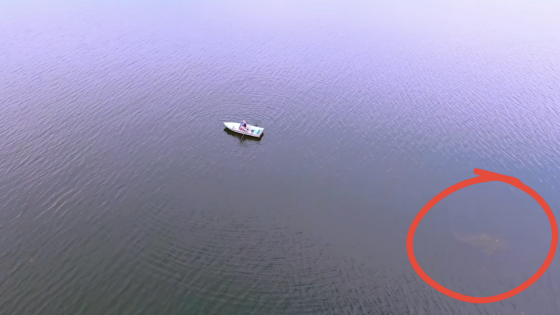 Did an SC filmmaker really catch Champ the sea monster on video? She’s asking experts to verify