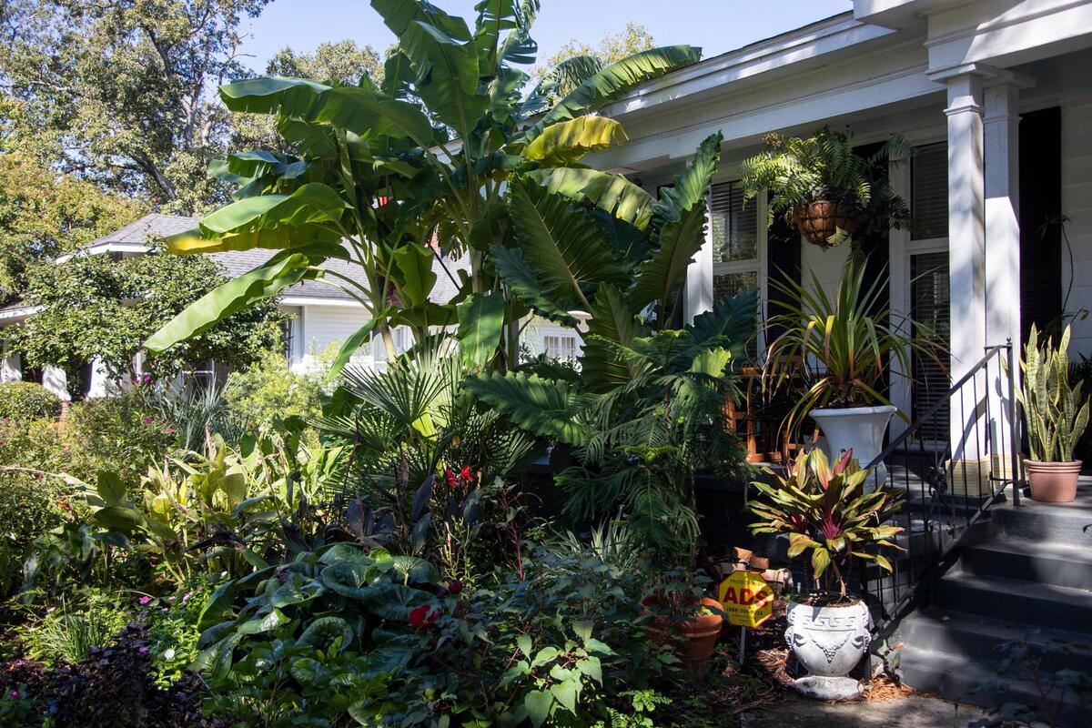 Readers of The State newspaper told us which lawns they think are the best around Columbia, South Carolina. This lawn in the Old Shandon neighborhood was photographed on Friday, October 7, 2022.