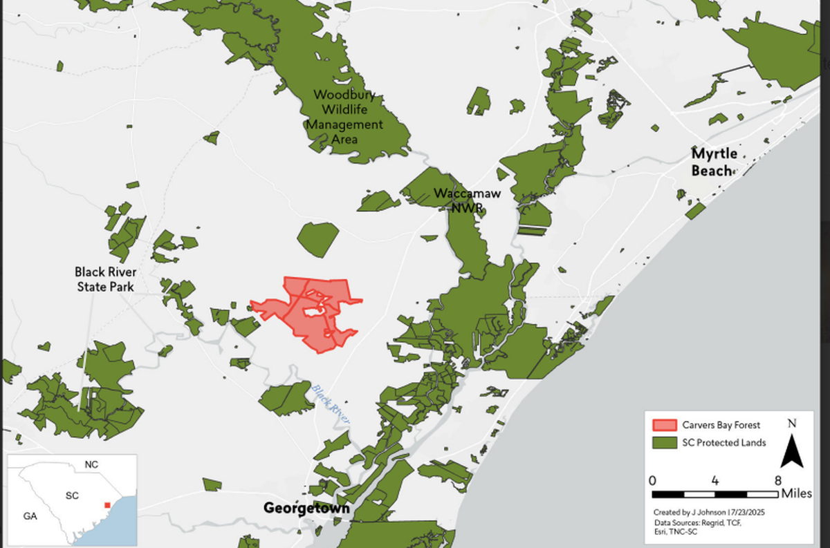 Some 8,000 acres in the Carvers Bay area of Georgetown County have been purchased to prevent development from ever occurring on the land.